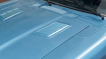 Vents on a car hood