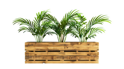 Wooden planter box with plants on transparent background