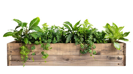 Wooden planter box with plants on transparent background