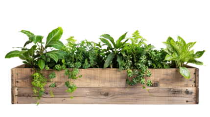 Wooden planter box with plants on transparent background