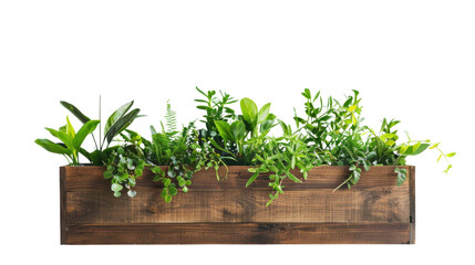 Wooden planter box with plants on transparent background