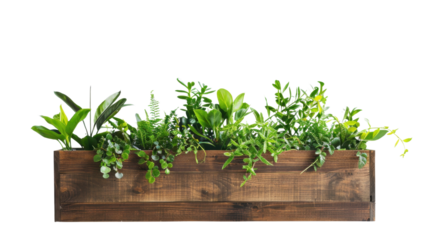 Wooden planter box with plants on transparent background
