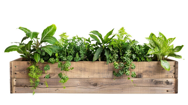 Wooden planter box with plants on transparent background