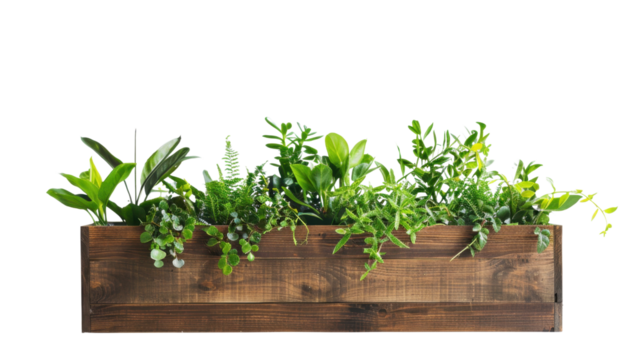 Wooden planter box with plants on transparent background