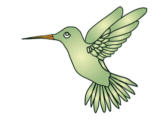 hummingbird in flight