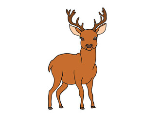 deer cartoon isolated