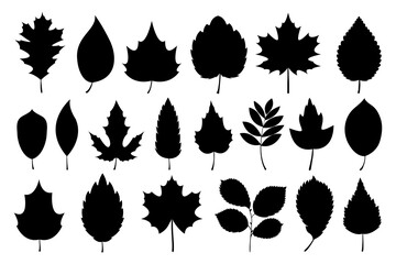 Black autumn leaf silhouettes collection. Fall leaves foliage silhouettes isolated on white background