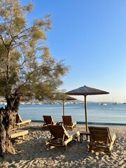 lounge chairs on the beach