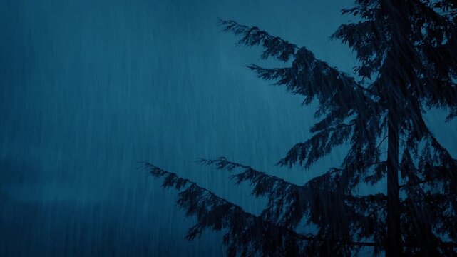 Tree In Heavy Rain And Wind On Stormy Evening