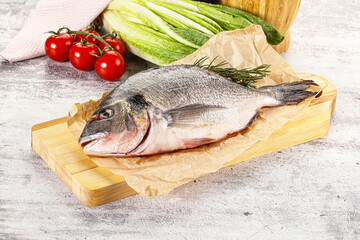 Raw dorada fish served rosemary