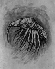 Alien creature, sketch - digital painting  © neurostructure