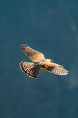 Miradouro do Pico do Areeiro - Madeira
