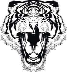 Tiger vector flat silhouette collection