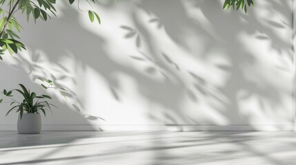 Simple background with blurred foliage shadow on a white wall and smooth flooring. Great for presentations.