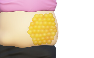 Fat on women's abdomen. fat woman