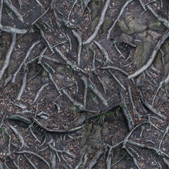 Raiz y tierra con algunas piedras textura tileable