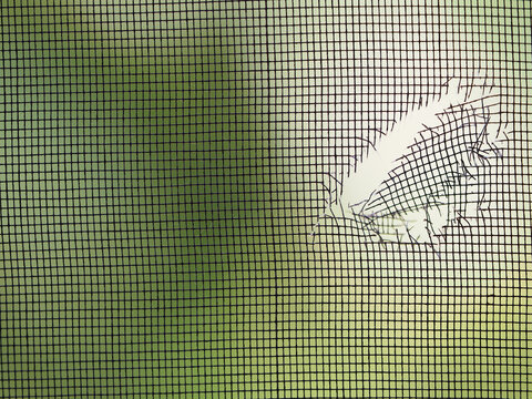 Damaged mosquito window screen. Close-up.