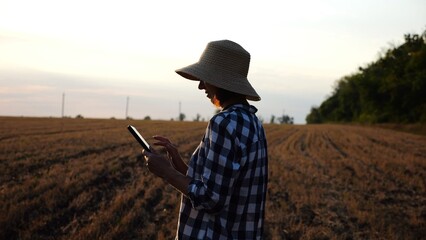 Female agronomist using digital tablet on wheat meadow at dusk. Adult farmer in straw hat monitoring harvest on barley field at sunset. Beautiful scenic landscape. Concept of agricultural business