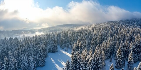 Winter Panorama of Snow-Covered Coniferous Forest from Drone View, Perfect for Winter Landscape or Travel Brochures Generative AI