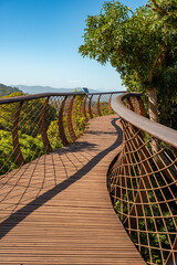 Canopy walk at Kirstenbosch National Gardens in Cape Town