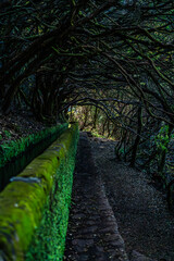 Lagoa das 25 Fontes - 25 Fontes Falls - Madeira