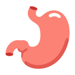 Stomach flat icon isolated in white background. Vector illustration