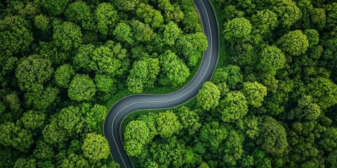 Scenic Aerial View of Winding Asphalt Road Through Lush Green Forest in Spring Generative AI