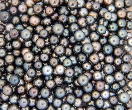 Tahitian black pearls clustered together at a jewelry store. 