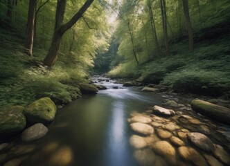 Obraz premium A tranquil stream gently flowing through a lush green forest, creating a peaceful atmosphere