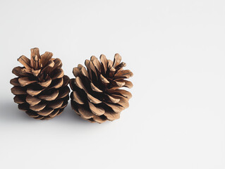 Two pine cones on an isolated white background celebrating the arrival of autumn.