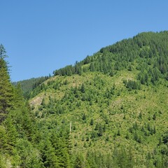 Montana National Glacier park 2024 