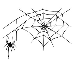 Scary spiderweb vector silhouette isolated white background 