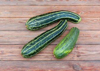 zucchini squash or vegetable marrow