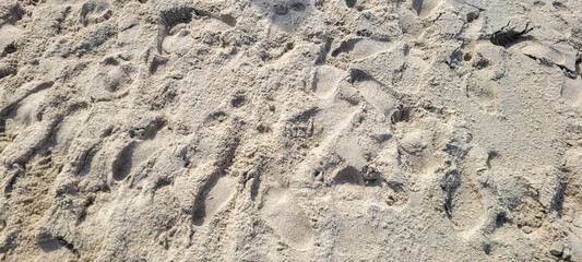 image of white sand beach on the coast of Brazil on a sunny day​