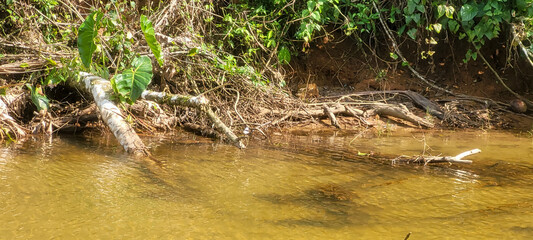 Obraz premium clear water river on the coast in ubatuba on itamambuca beach