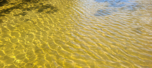 clear water river on the coast in ubatuba on itamambuca beach