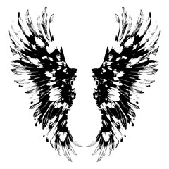 Obraz premium Angel Wings and Bird Feather Vector Illustrations, Black & White Angel Wings Vector, Hand-Drawn Black & White Tattoo Illustrations, Vintage Style