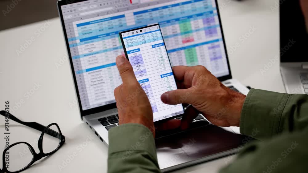 Leinwandbilder Spreadsheet Data Analyst Using Computer Software