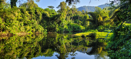 clear water river on the coast in ubatuba on itamambuca beach