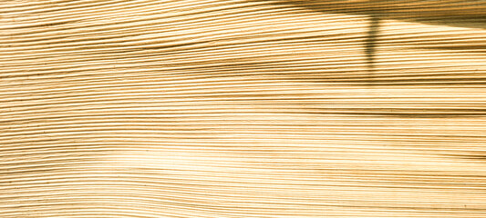 beige abstract background with texture