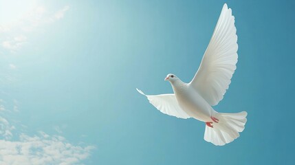 Fototapeta premium White dove soaring in serene blue skies background with empty space for text