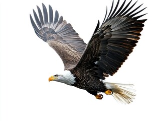 Obraz premium A majestic bald eagle soaring through the sky