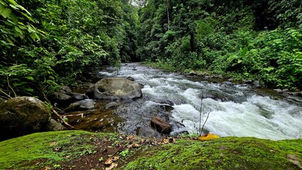 Fototapeta premium River running through the rainforest in La Fortuna, Costa Rica with mossy tree trunk in foreground
