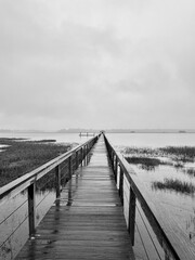 Fototapeta premium pier in the sea