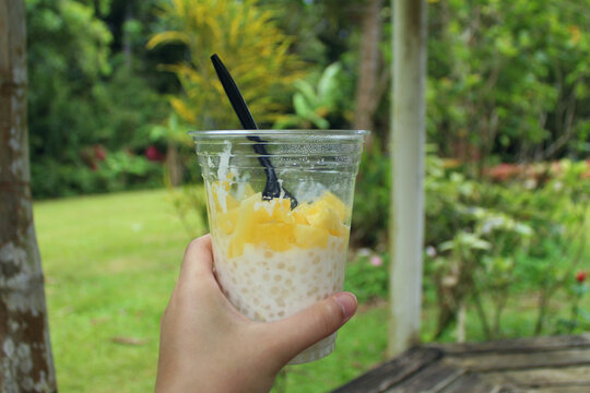 Tropical pineapple tapioca pudding held in hand