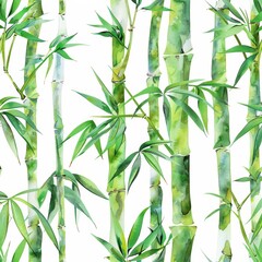 Obraz premium Watercolor stems and leaves on white background of bamboo stems
