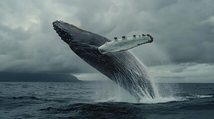 Fototapeta premium 3d animation of a whale jumping out of the water against a cloudy sky
