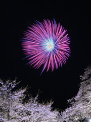 桜と花火