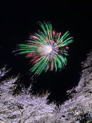 桜と花火