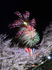 桜と花火